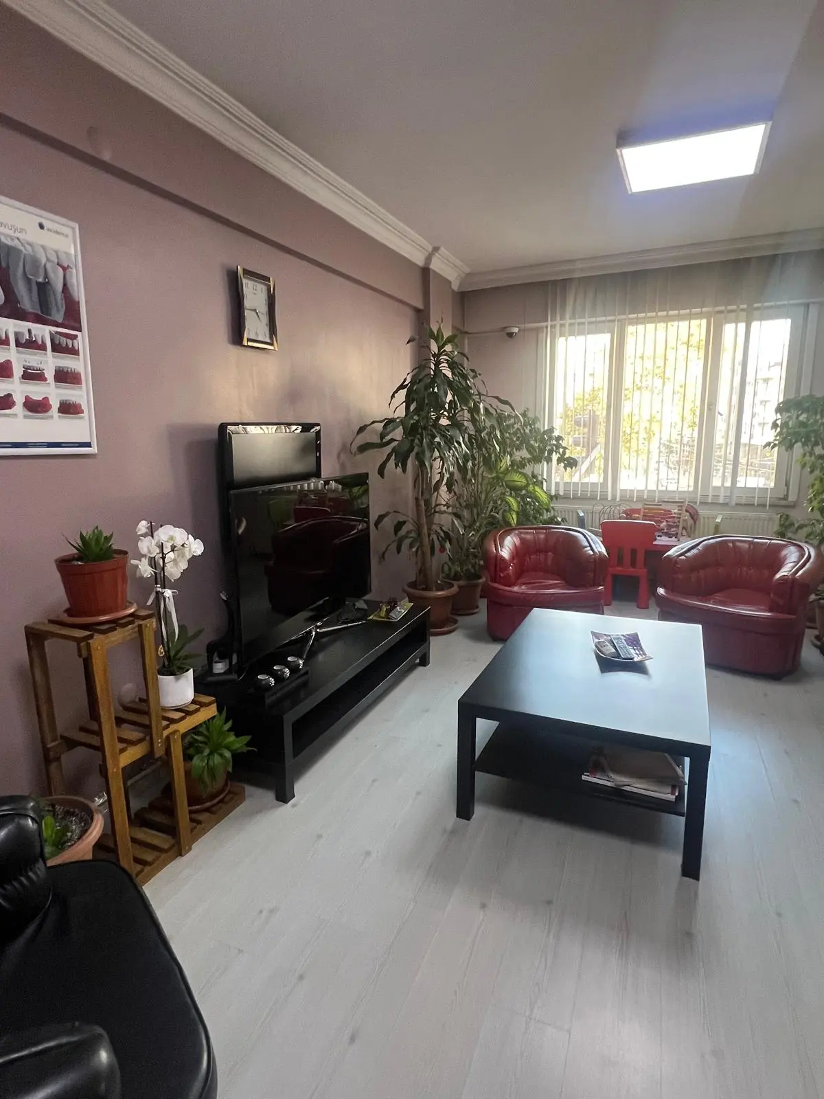 Clinic-provided photograph of Dr Şeküre Sandal