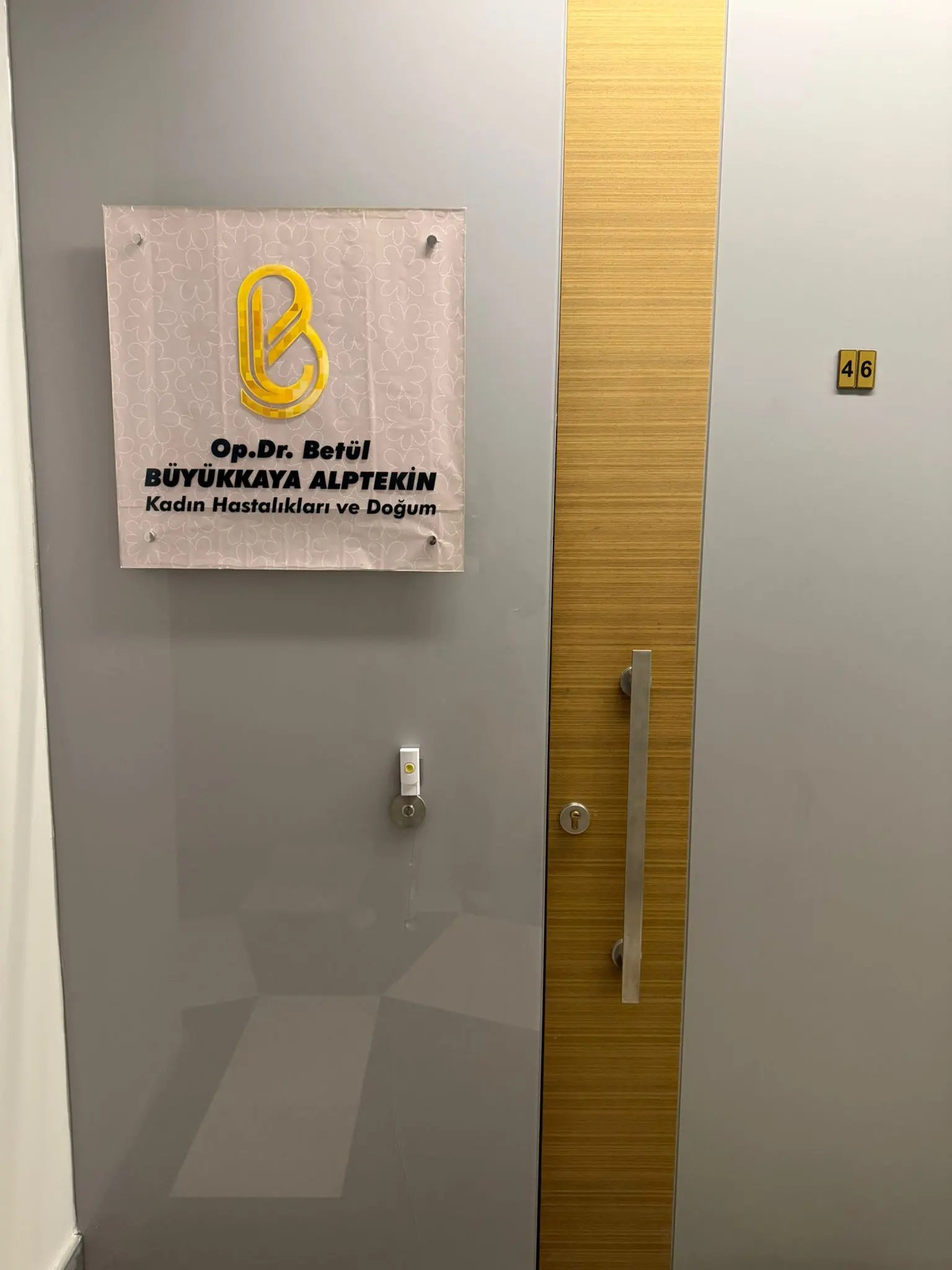 Clinic-provided photograph of Dr Betül Büyükkaya Alptekin