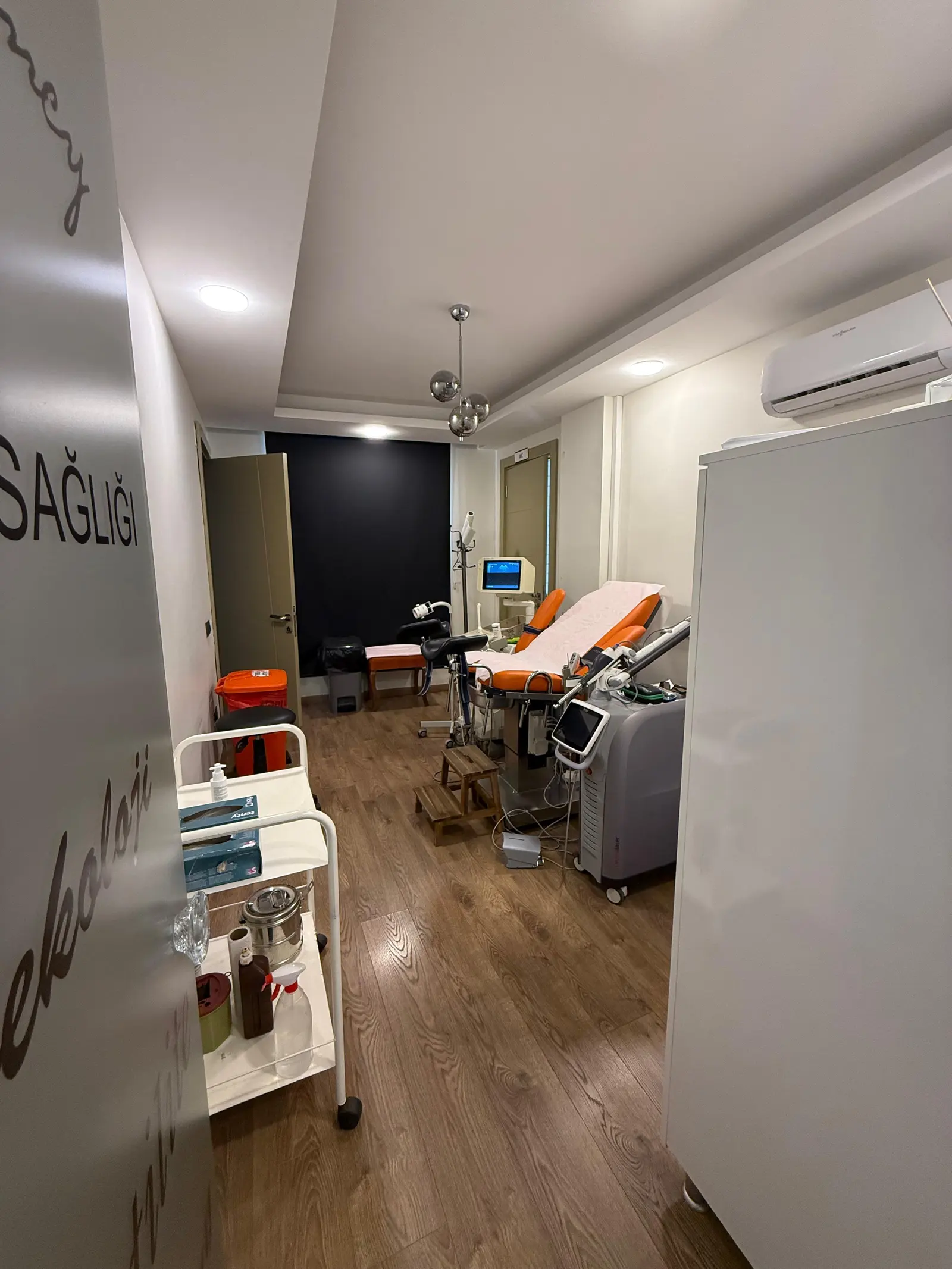 Clinic-provided photograph of Dr Sezin Özyurt