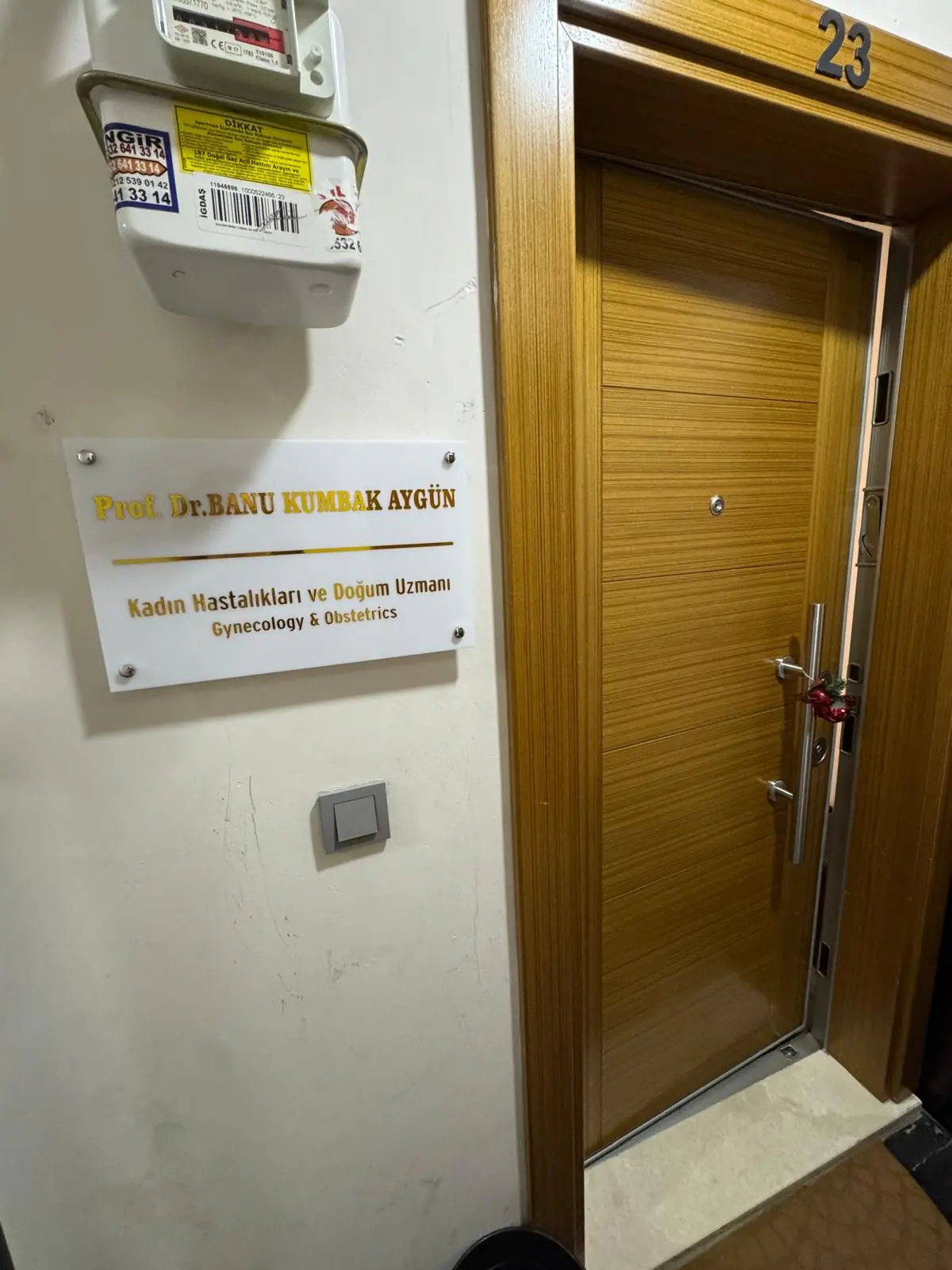 Clinic-provided photograph of Prof. Dr Hatice Banu Aygün