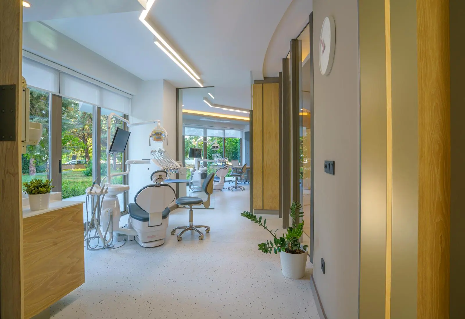 Clinic-provided photograph of Dr Onur