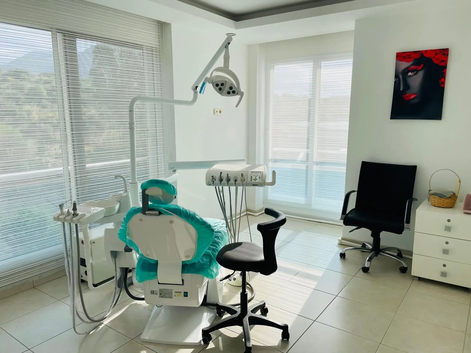 Clinic-provided photograph of Temel Dental