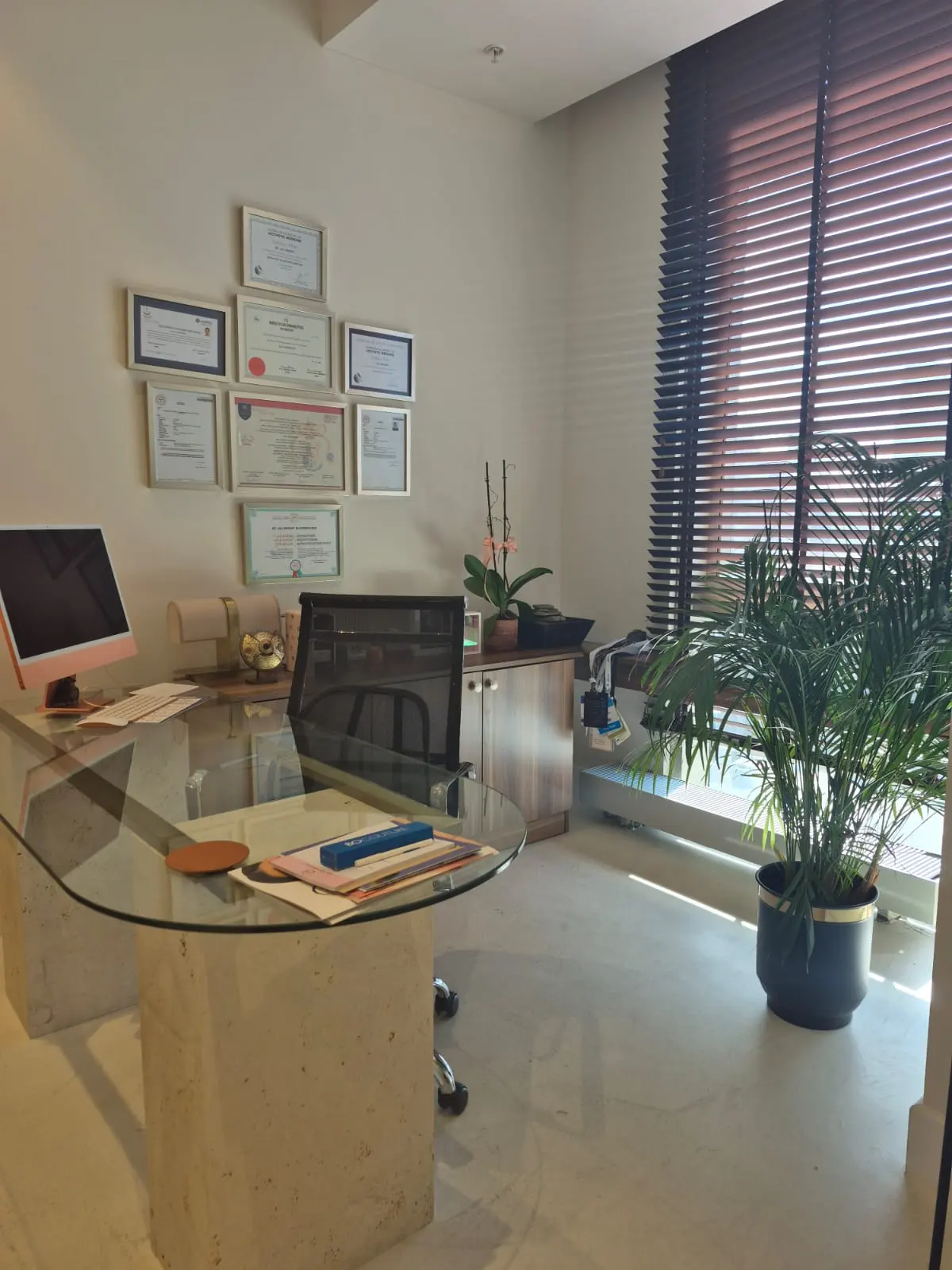 Clinic-provided photograph of Dr Aslı Birkent