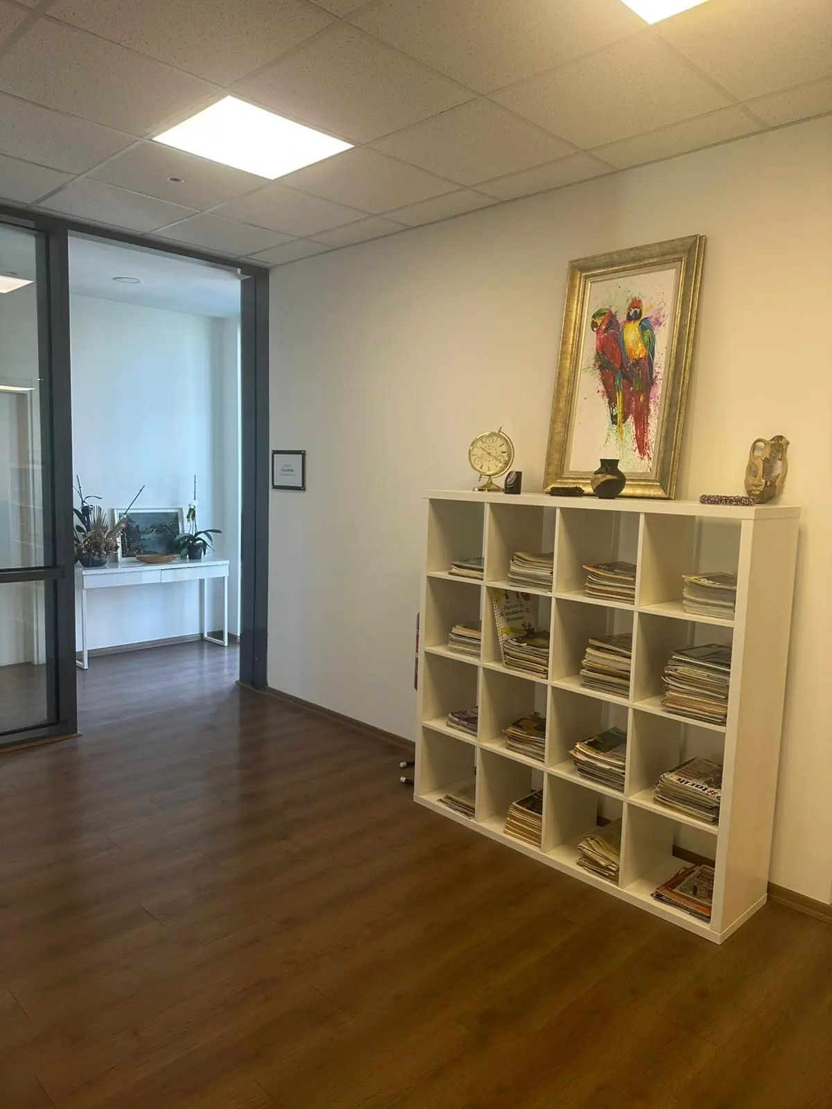 Clinic-provided photograph of Dr Elvan Yalçın