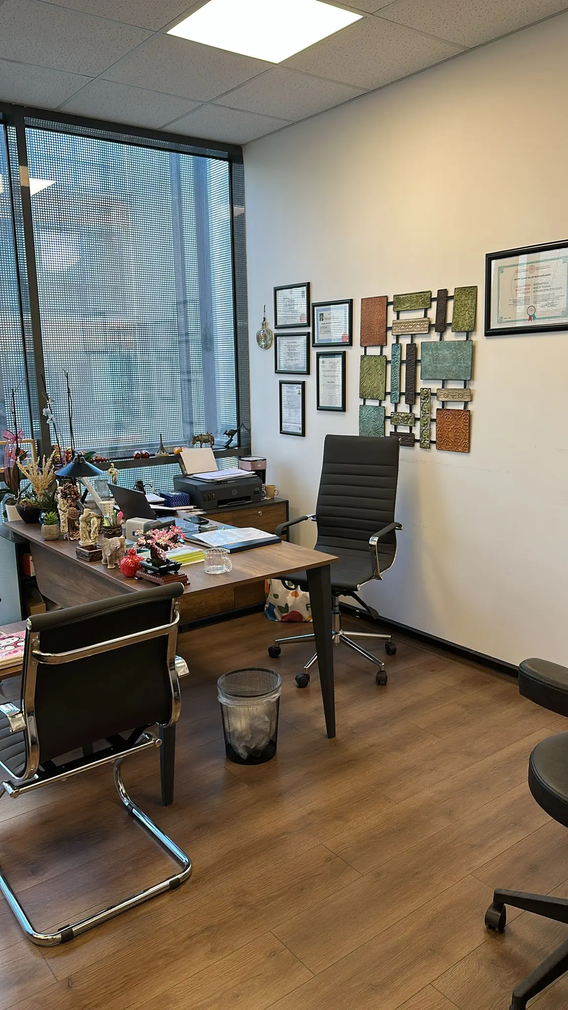 Clinic-provided photograph of Dr Elvan Yalçın