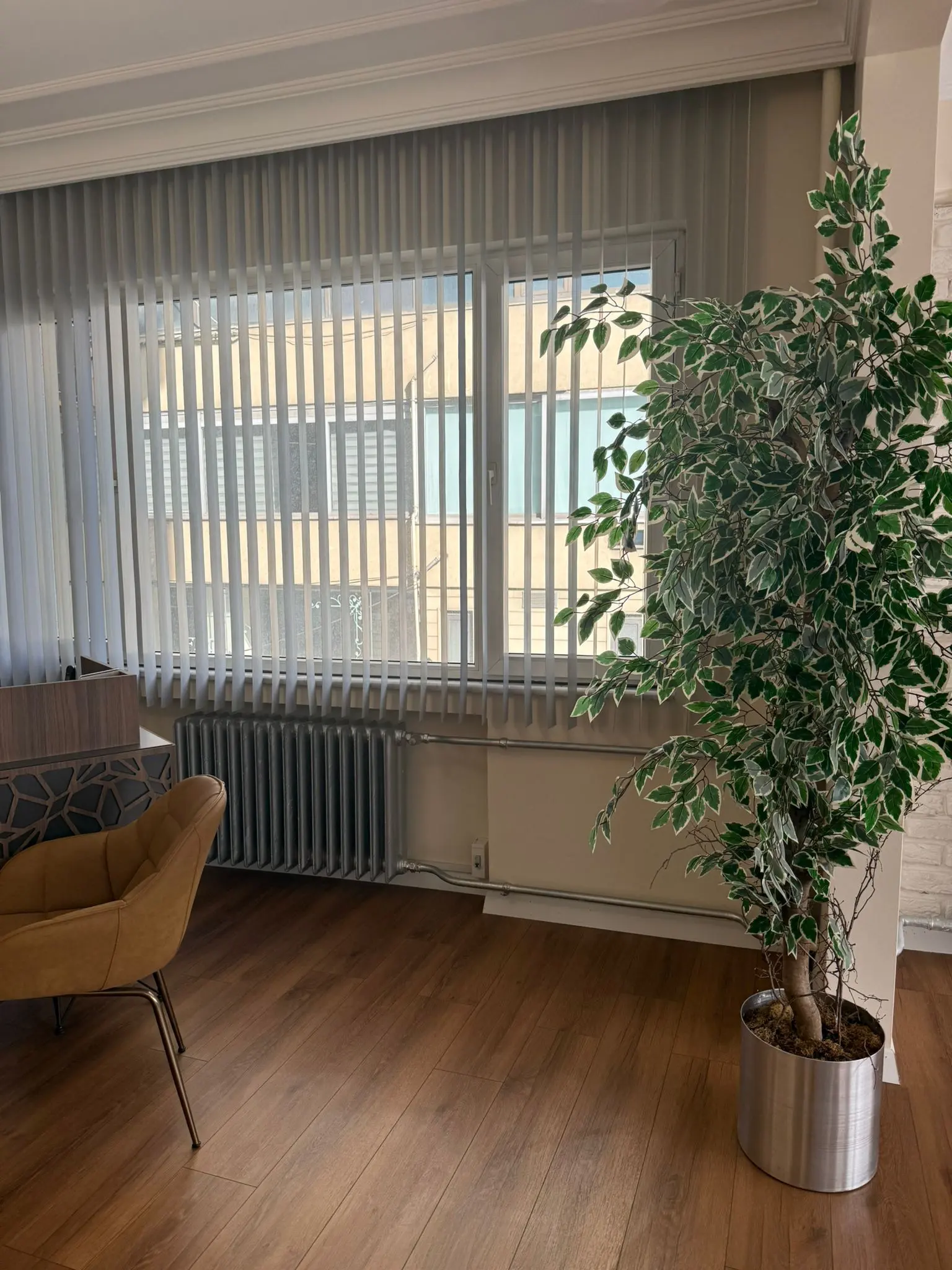 Von der Klinik bereitgestelltes Foto von Assoc. Prof. Dr. Harun Çöloğlu
