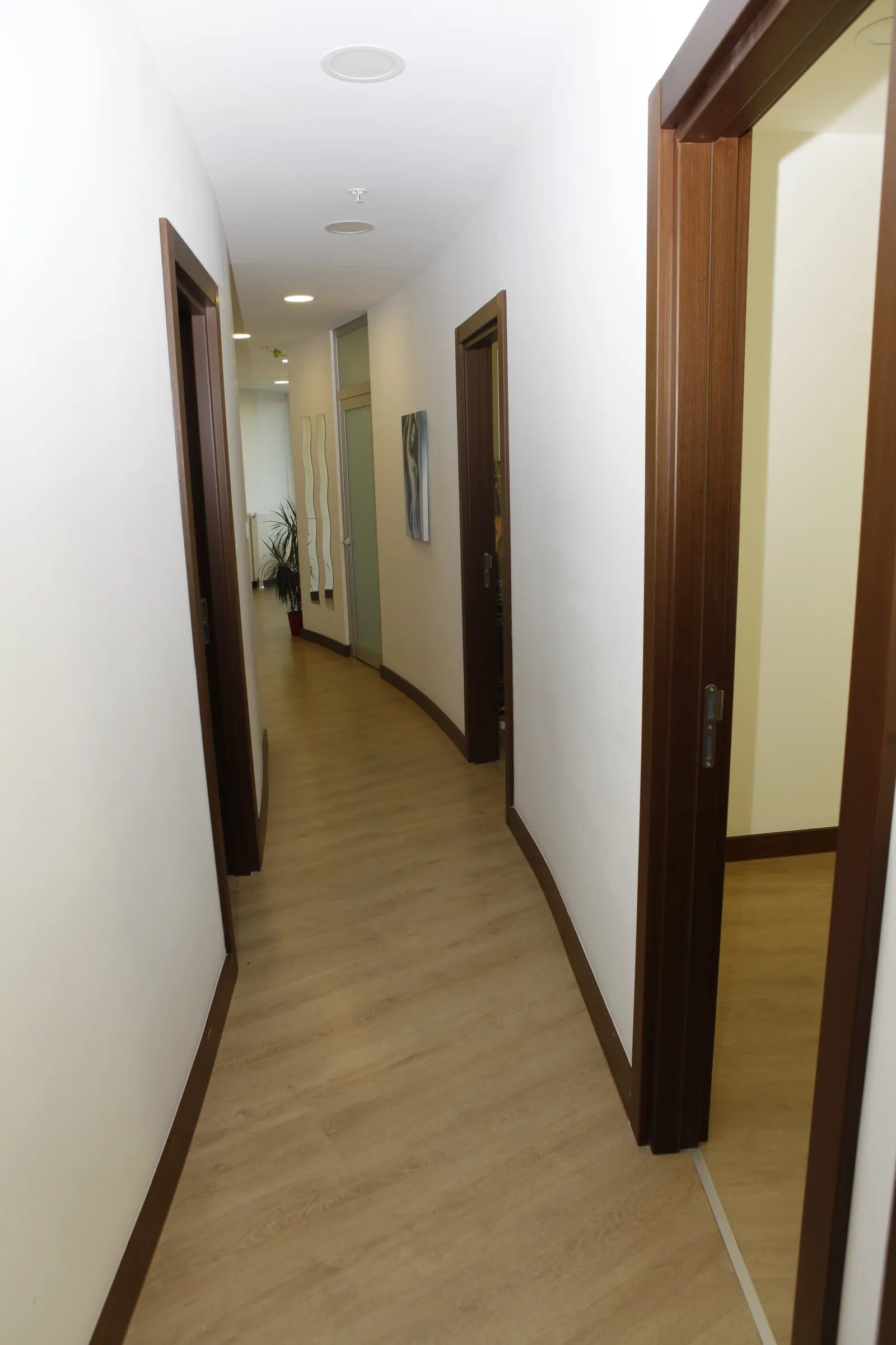 Clinic-provided photograph of Dr Deniz Küçükkaya