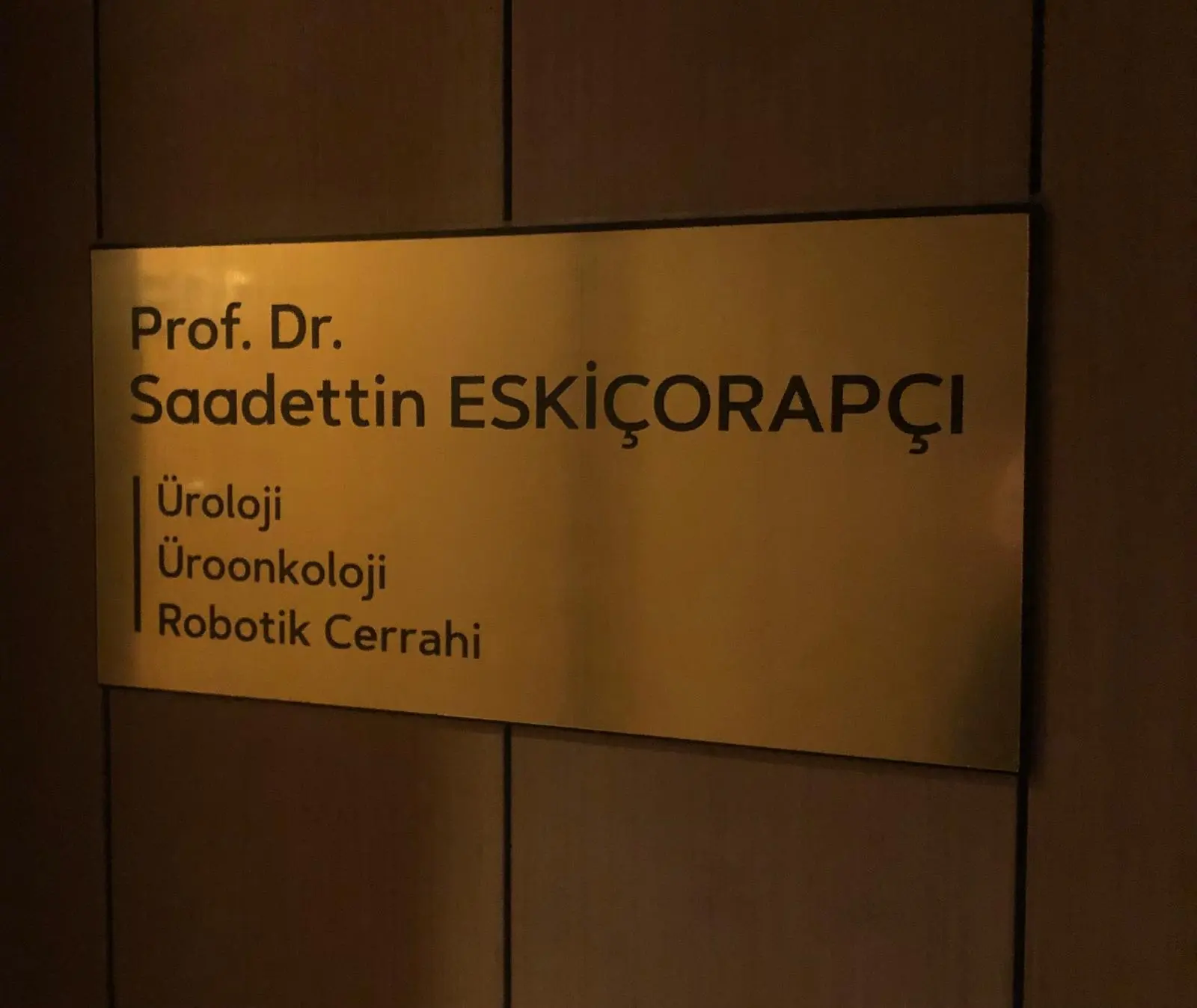 Von der Klinik bereitgestelltes Foto von Prof. Dr. Saadettin Yılmaz Eskiçorapçı