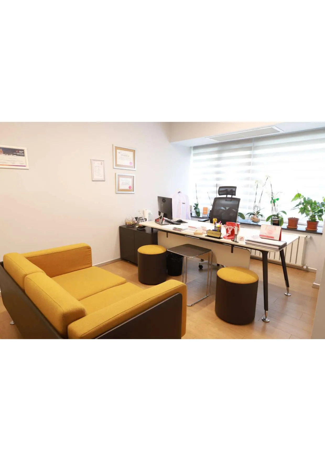 Clinic-provided photograph of Dr Nilay Karaca