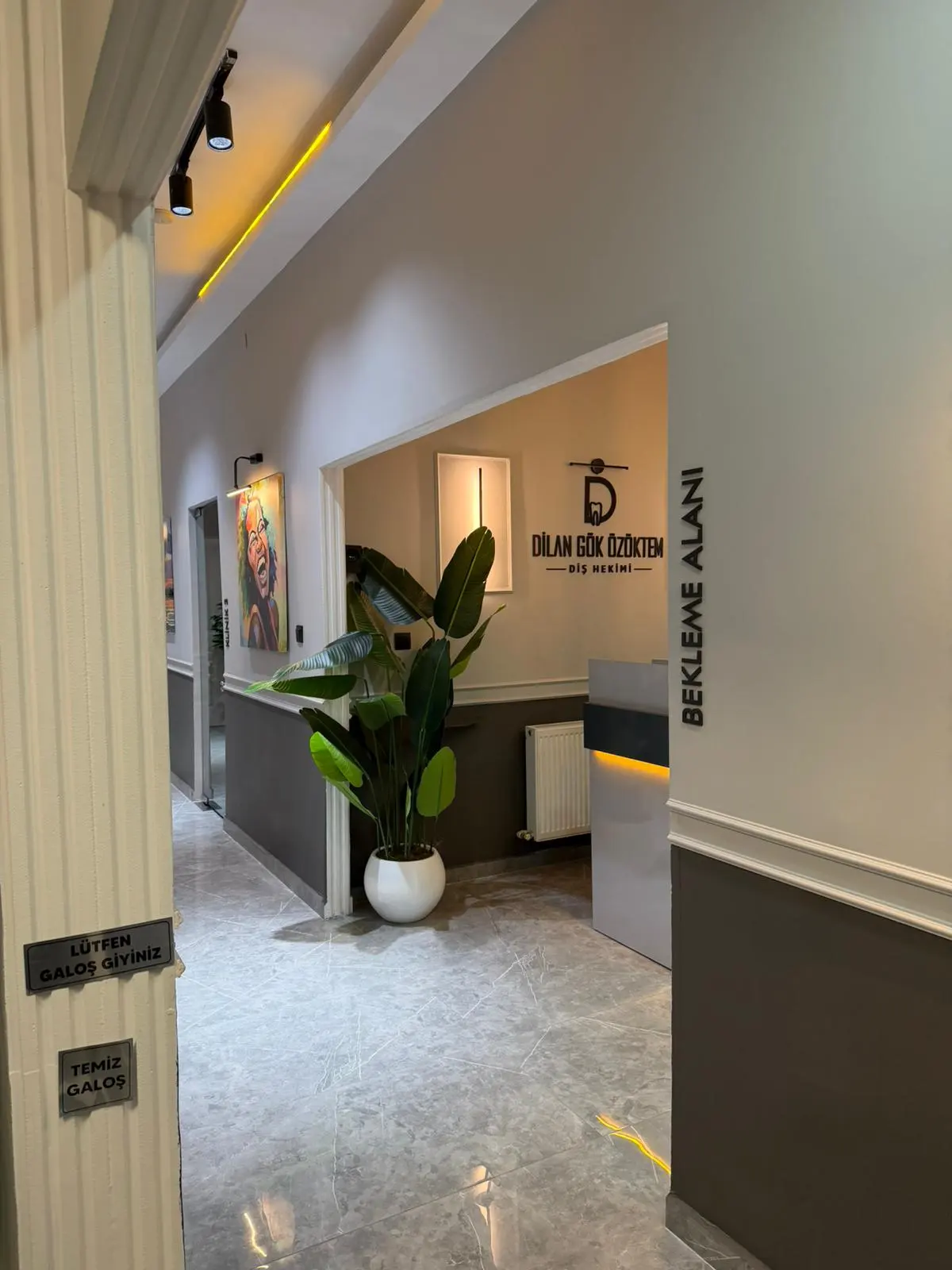 Clinic-provided photograph of Dr Dilan Gök Özöktem