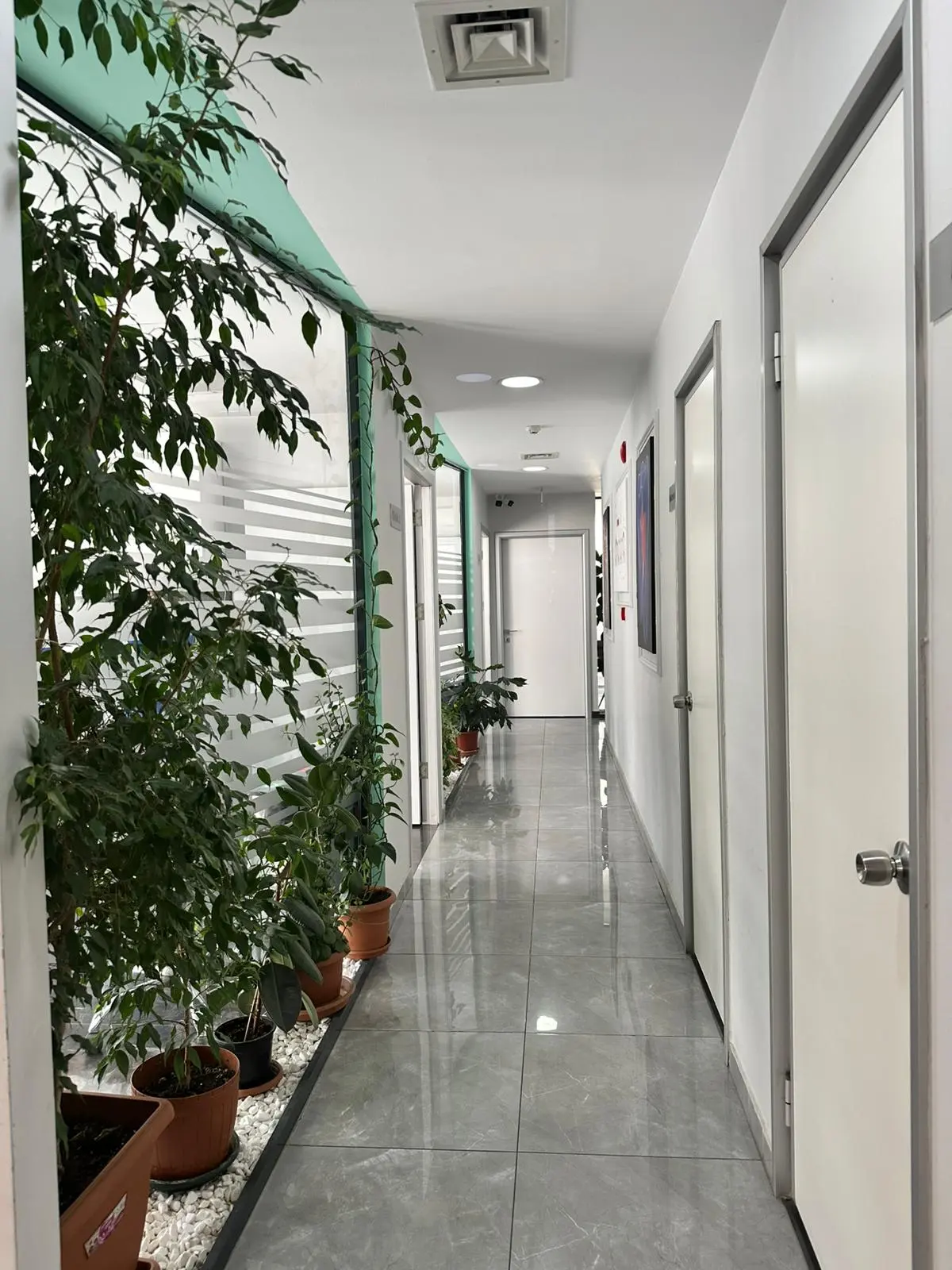 Clinic-provided photograph of Mfsdent Dental Clinic