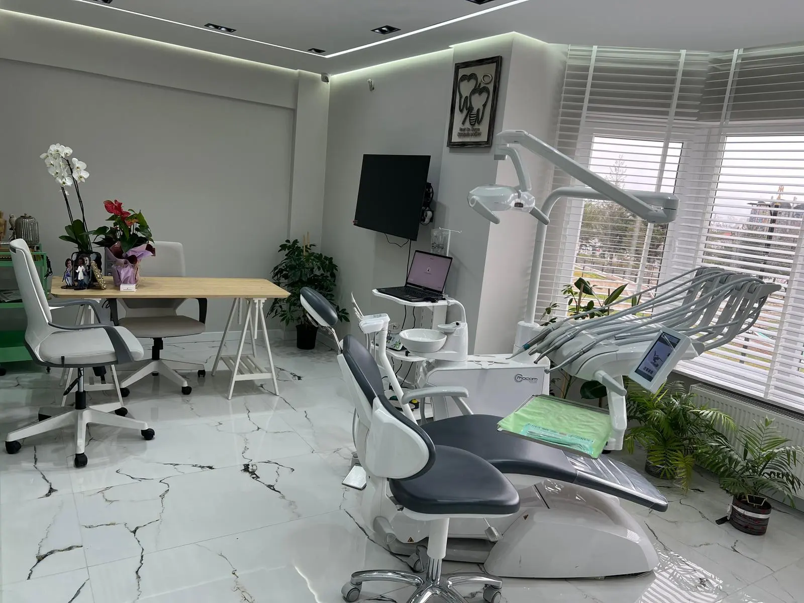 Clinic-provided photograph of Dr Derya Özdemir Doğan