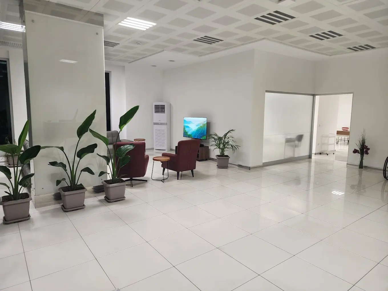 Von der Klinik bereitgestelltes Foto von Dr. Elena Vaganova