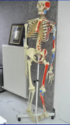 Clinic-provided photograph of Prof. Dr Ercan Olcay