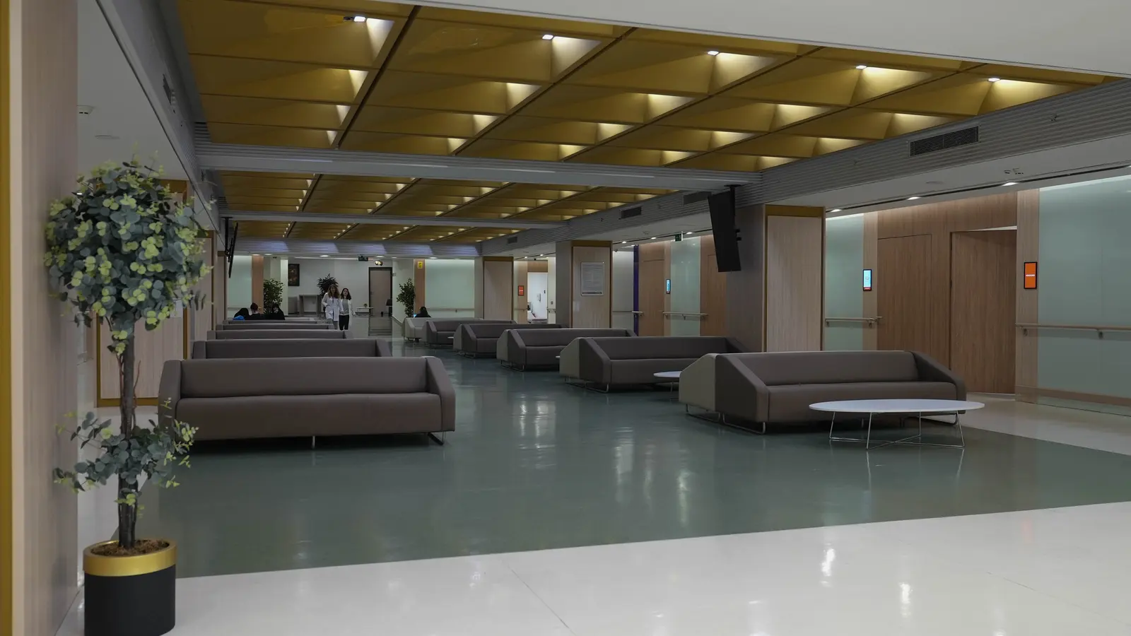 Clinic-provided photograph of Medical Park TEM