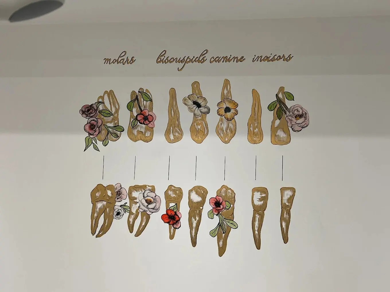 Von der Klinik bereitgestelltes Foto von Dr. Seher Pehlivanoğlu