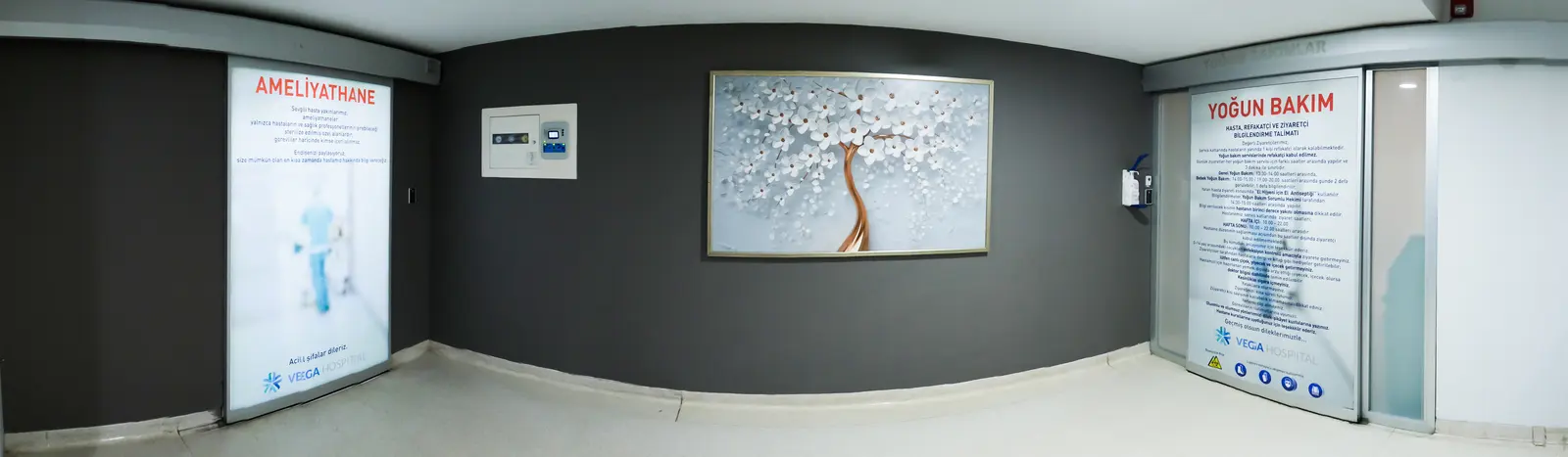 Von der Klinik bereitgestelltes Foto von Vega Hospital