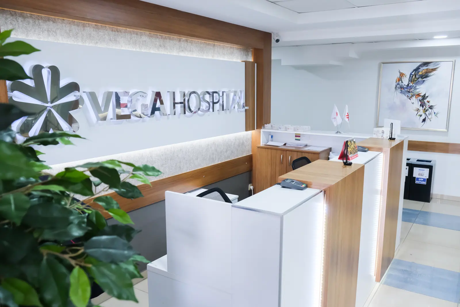 Von der Klinik bereitgestelltes Foto von Vega Hospital
