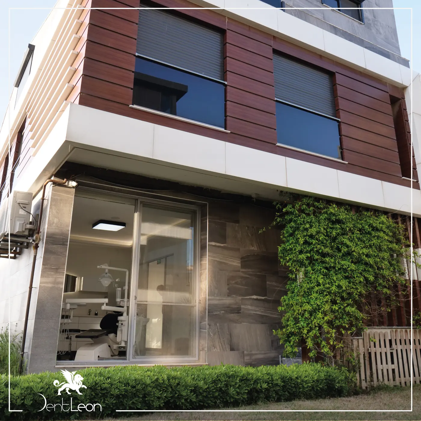 Clinic-provided photograph of Dent Leon Vip