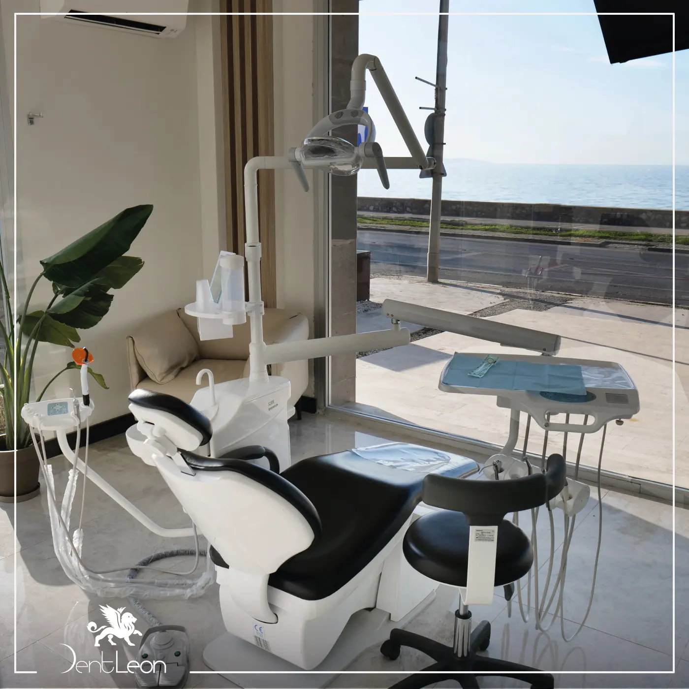 Clinic-provided photograph of Dent Leon Vip