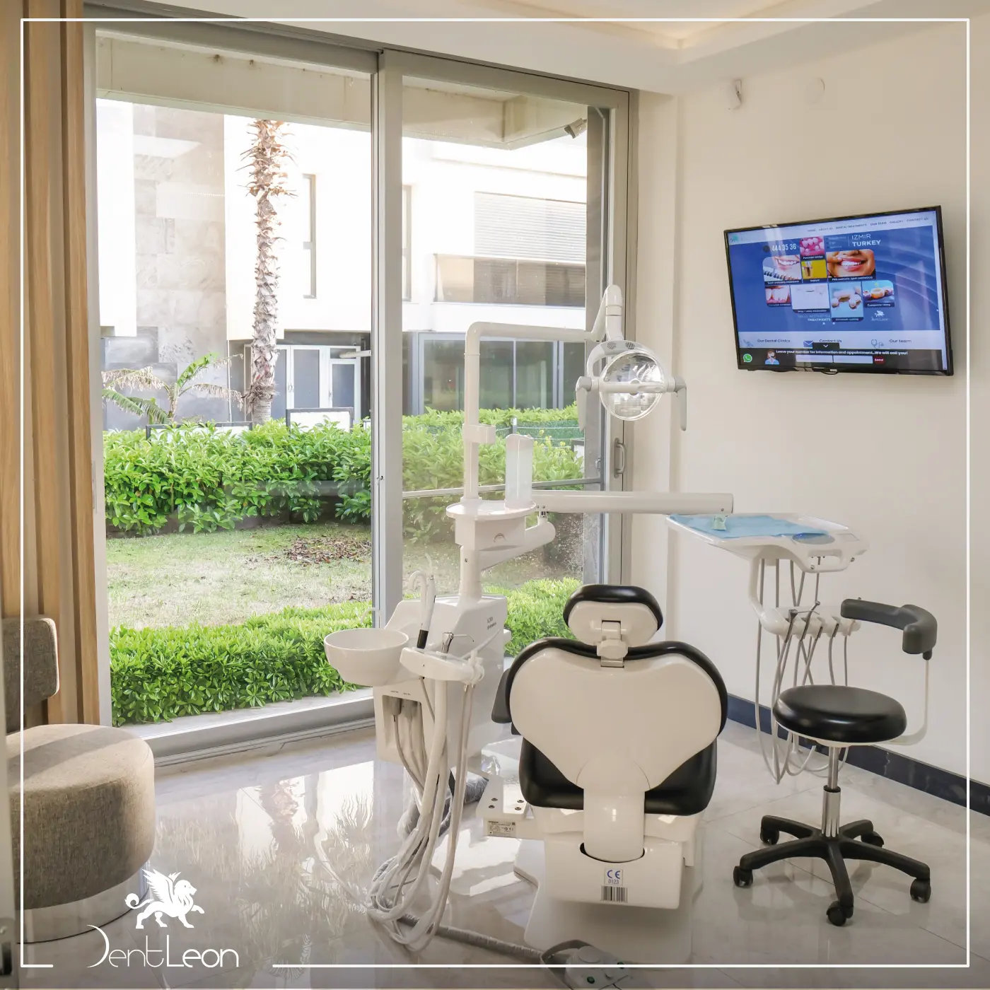 Clinic-provided photograph of Dent Leon Vip