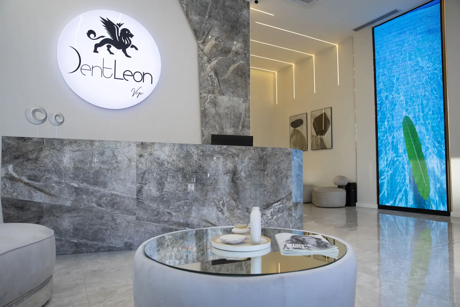 Clinic-provided photograph of Dent Leon Vip Bayraklı