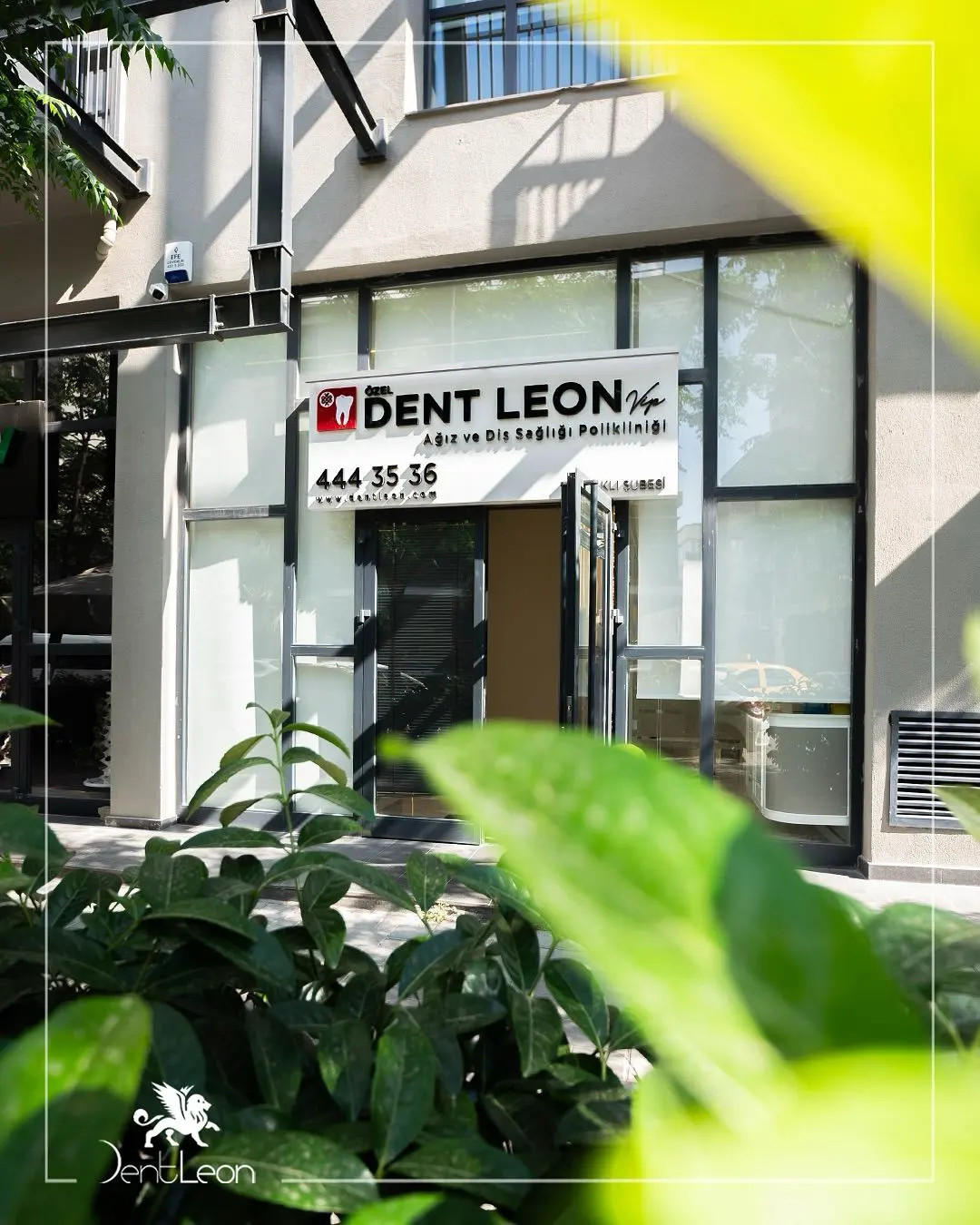 Clinic-provided photograph of Dent Leon Vip Bayraklı