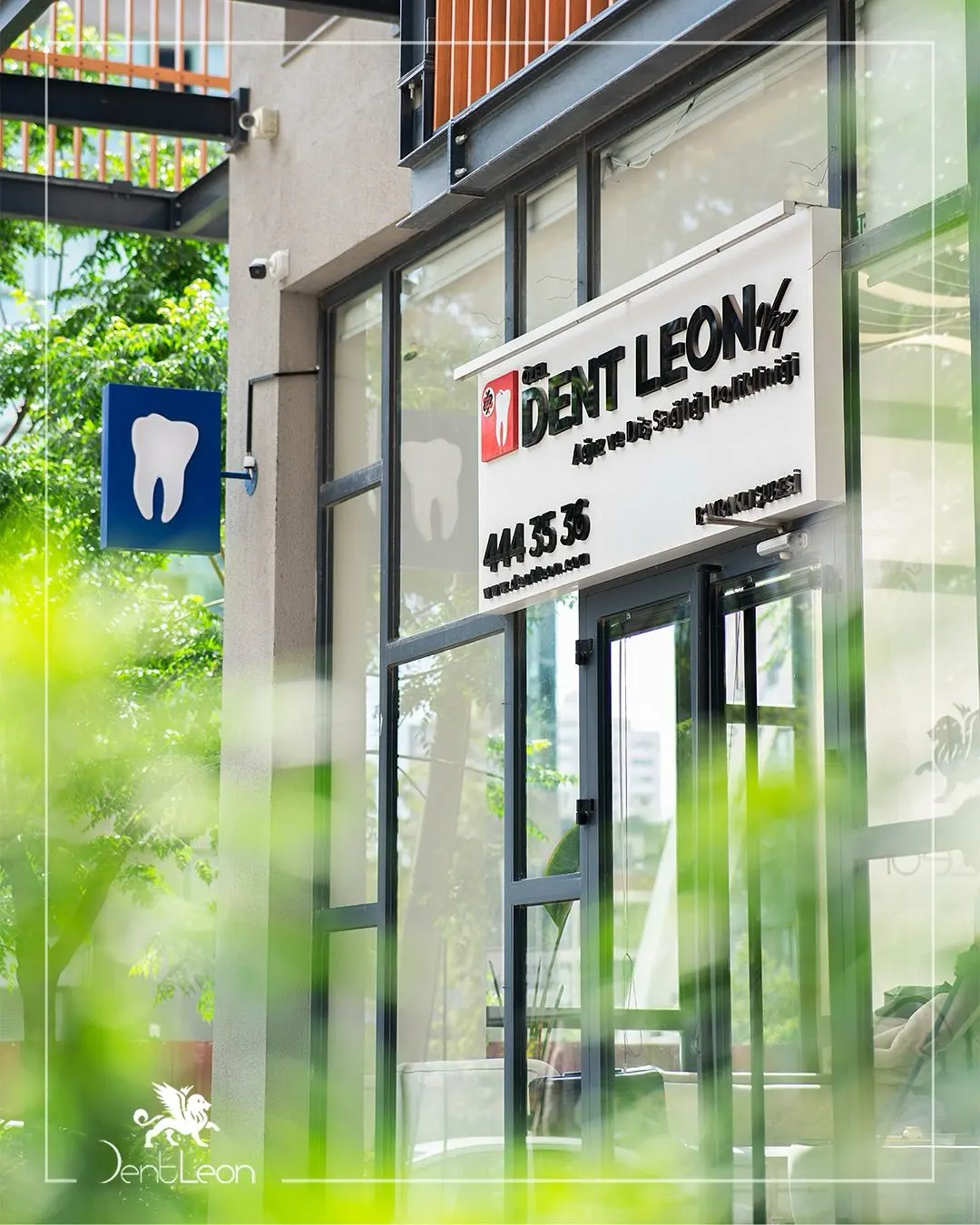 Clinic-provided photograph of Dent Leon Vip Bayraklı
